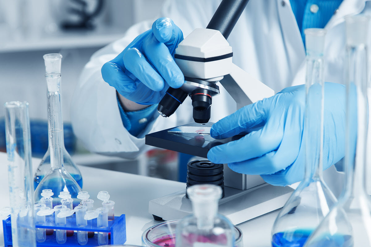 18th ASEICA International Congress