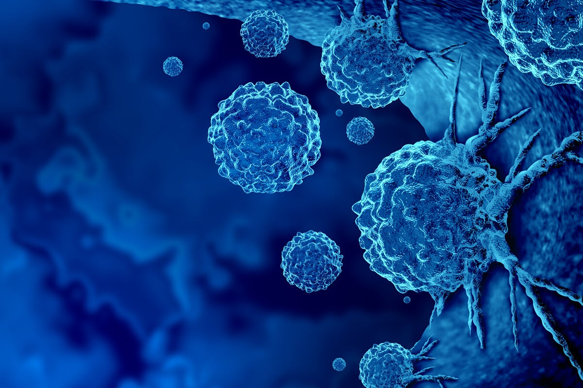 Nuevas inmuoterapias contra el cáncer