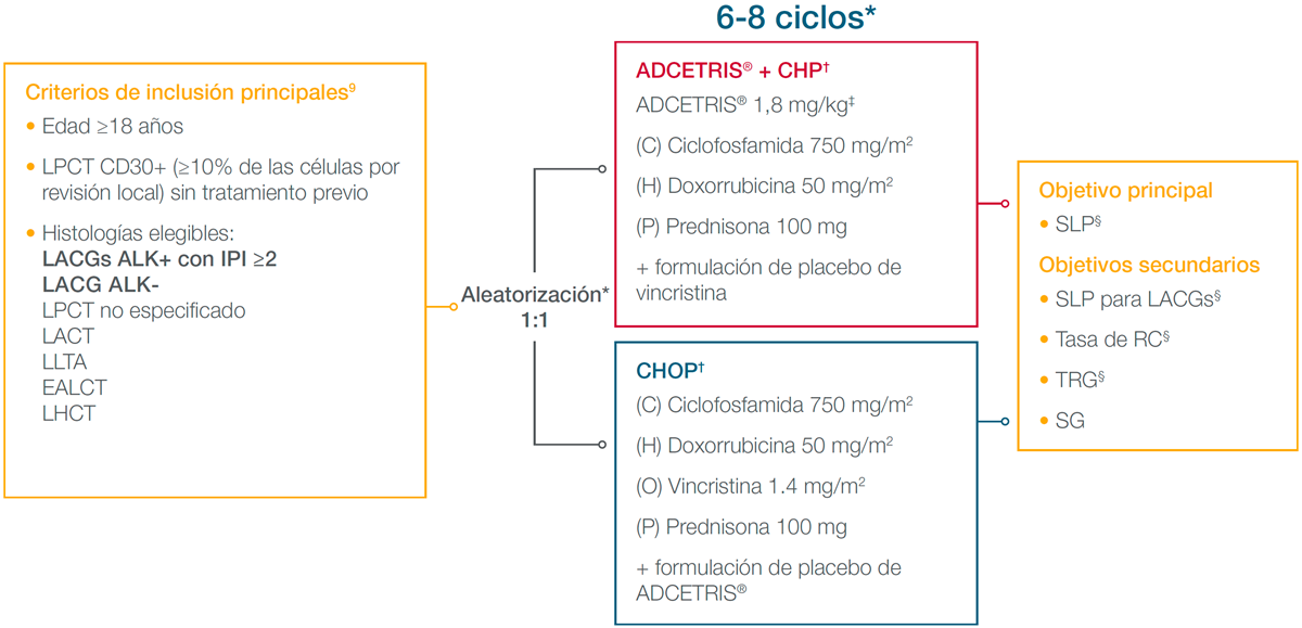 6-8 ciclos de ECHELON