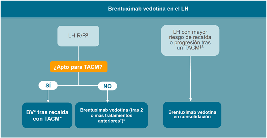 Brentuximab vedotina en el LH