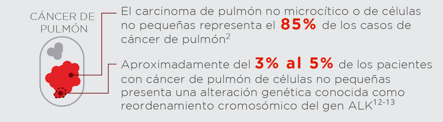 Cifras del cáncer de pulmón
