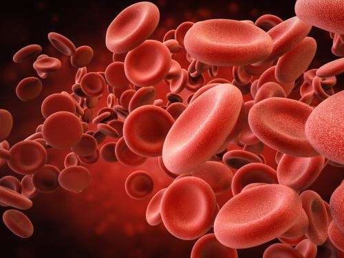 LXIV Congreso Nacional de la SEHH, XXXVIII Congreso nacional de la SETH