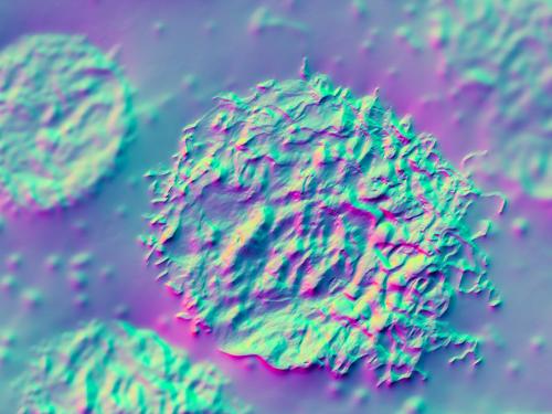 Reunión anual de EORTC CLTG 2022