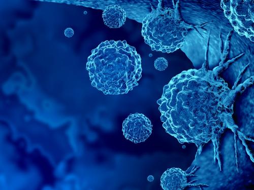 Nuevas inmuoterapias contra el cáncer